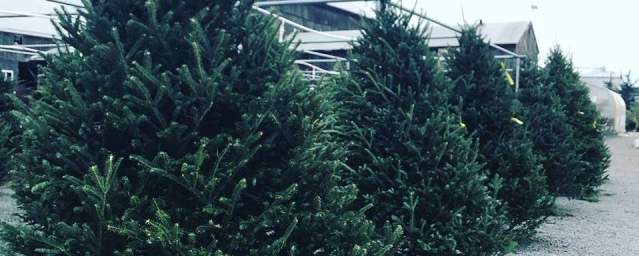 Facebook.com/FroehlichsFarm&GardenCenter