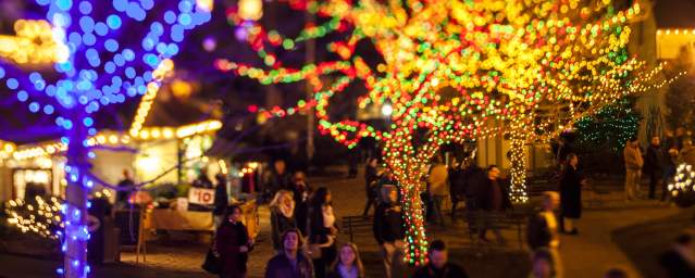Grand Illumination