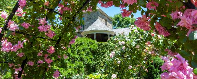 Rose Garden at Andalusia