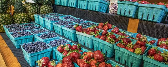 Pick-your-own Fun in Bucks County