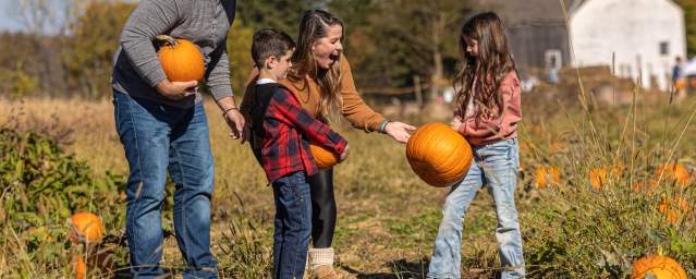 Pick-your-own Fun in Bucks County