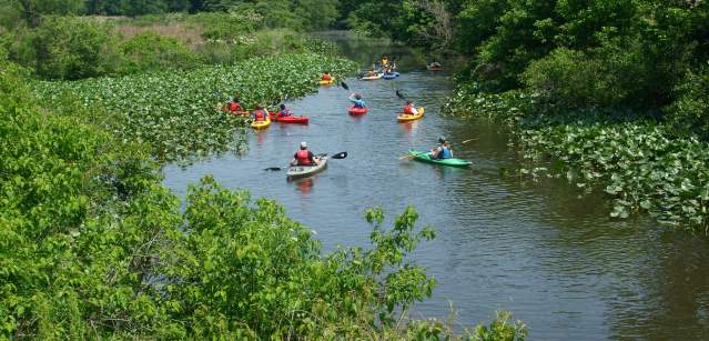 Silver Lake Nature Center hosts kayaking trips and classes for all skill levels. Silver Lake is one of three nature centers in Bucks County that offer educational programs for children and adults.