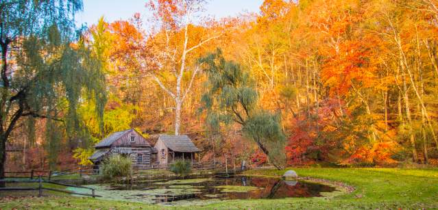 Fall Foliage with Cabin and Pond