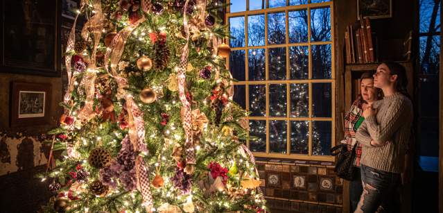 Fonthill Castle Holiday Lights Meander