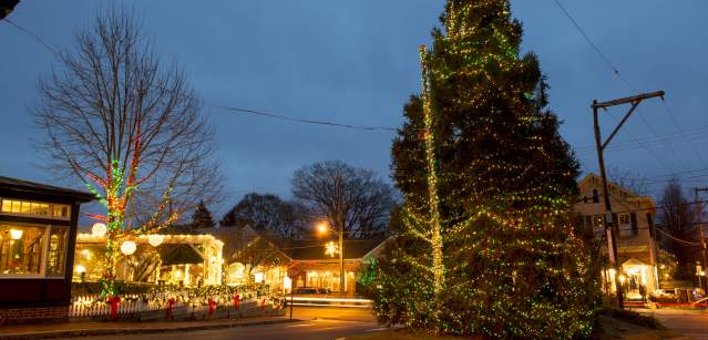 Holiday Tree in New Hope