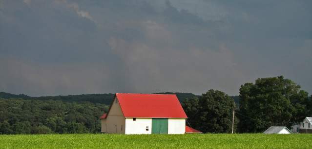 Barn Tour