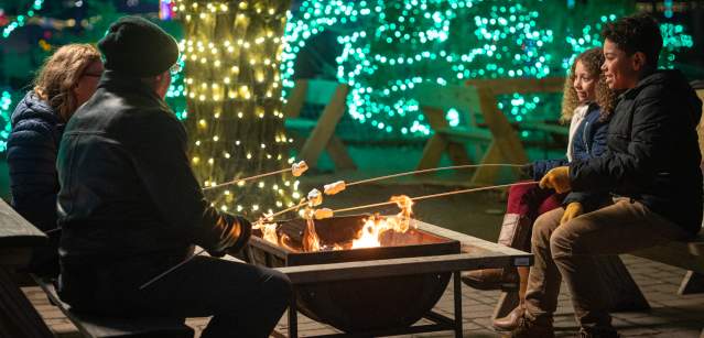 Shady Brook Farm Holiday Light Show