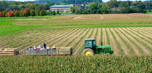 Shady Brook Farm