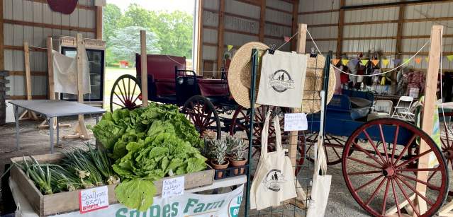 5 Ways for Fall Fun at Snipes Farm