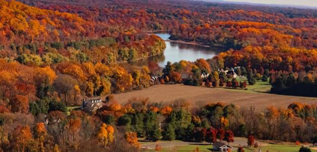 Bowman's Hill Fall Foliage