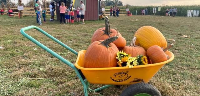 7 Things to Do for Halloween in Bucks County