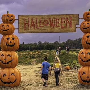 Shady Brook Farm Fall Fest