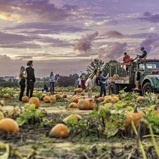 VBC Shady Brook Farm Fall Fest 2023 28
