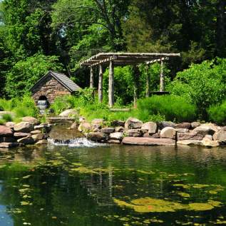 Bowman's Hill Wildflower Preserve Pond 3