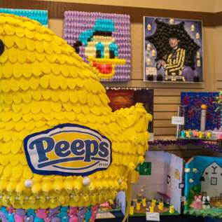 PEEPs in the Village