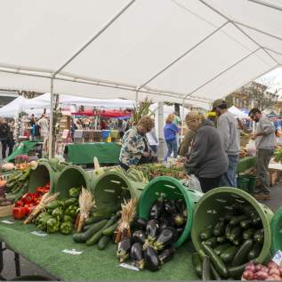 Quakertown Alive veggies