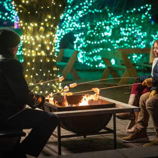 Shady Brook Farm Holiday Light Show