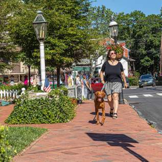 New Hope Main Street