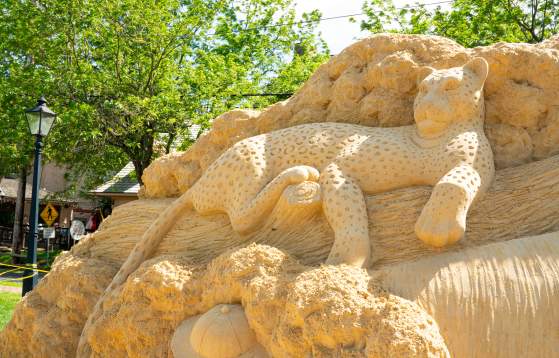 Safar in Sand
