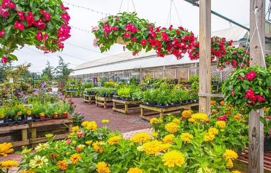Shady Brook Farm garden center