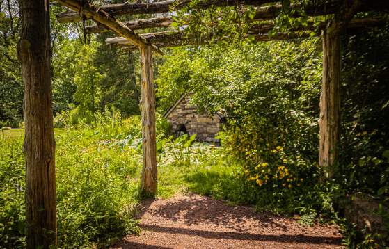 Bowman's Hill Wildflower Preserve