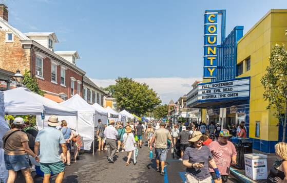 Doylestown Arts Festival 2025