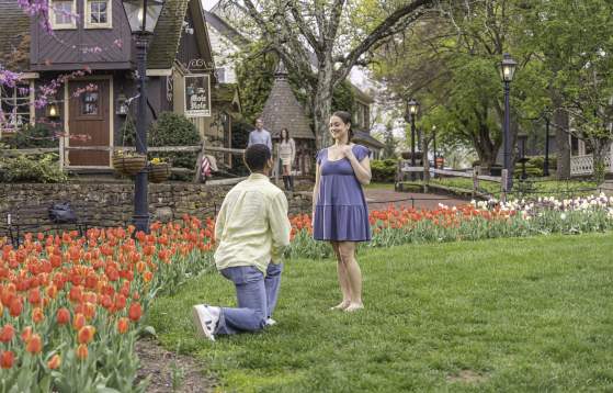 Peddler's Village proposal
