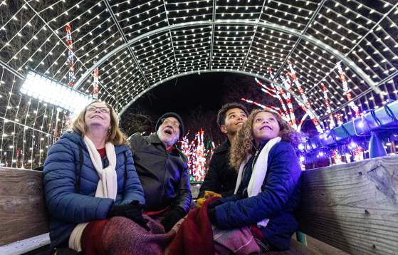 Holiday Light Show at Shady Brook Farm