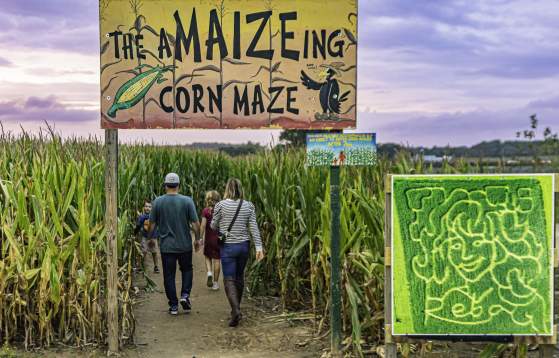 VBC Shady Brook Farm Fall Fest