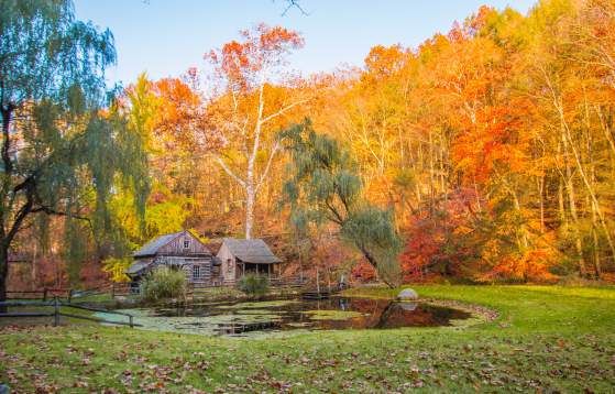 Fall Foliage with Cabin and Pond