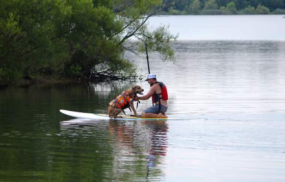 Falls Township Paddle Boarding