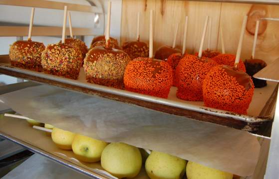 Caramel apples at Shady Brook Farm