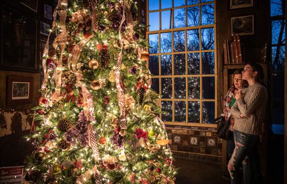 Fonthill Castle Holiday Lights Meander