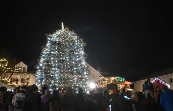 Perkasie Tree Lighting