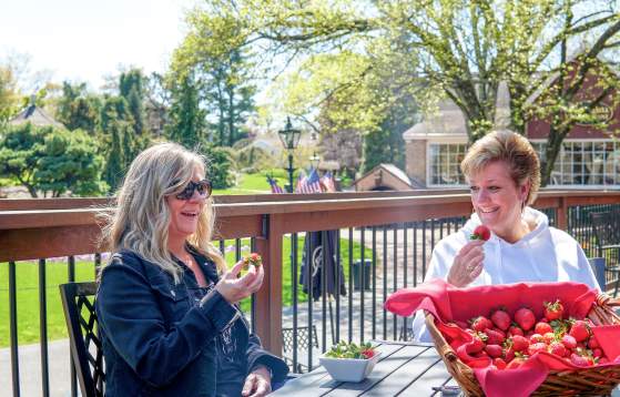Peddler's Village Strawberry Festival