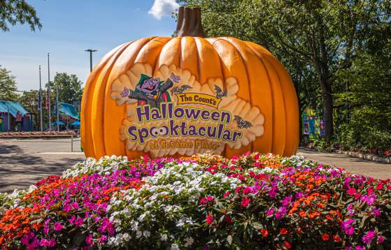 Halloween Spooktacular