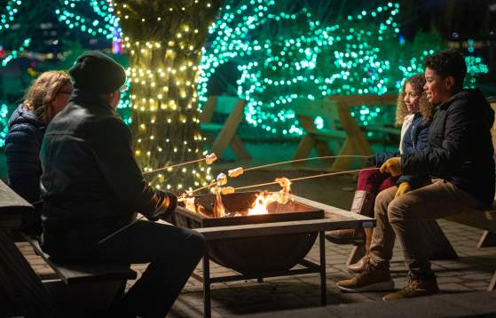 Shady Brook Farm Holiday Light Show