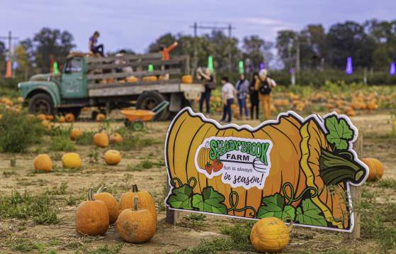 Shady Brook Farm