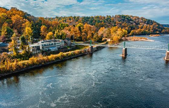 Overhead View Of Black Bass