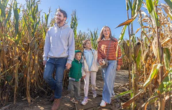 Shady Brook Farm Fall Fest