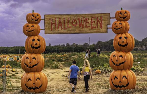Shady Brook Farm Fall Fest
