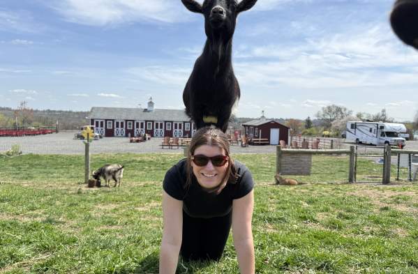 7 Bucks County Activities for the Animal Lover