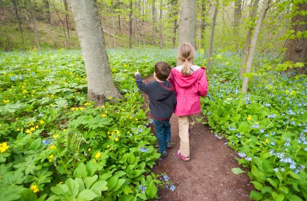 Beautiful Bucks County Gardens