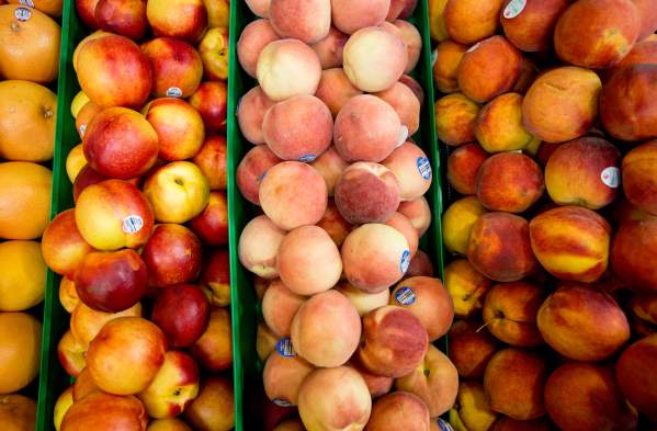 Bucks County Farmers Markets