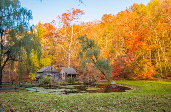 Top Instagrammable Fall Spots in Bucks County