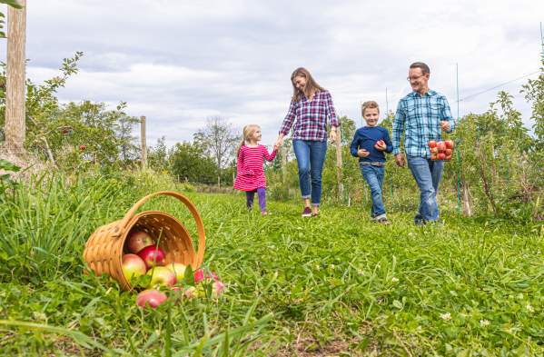 Pick-your-own Fun in Bucks County