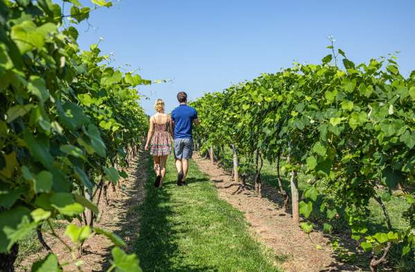 Winery Weekend Getaway to Bucks County, PA