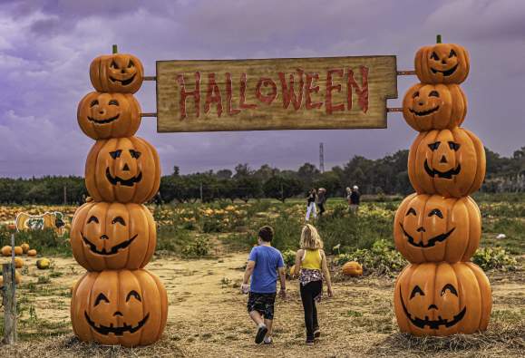 Shady Brook Farm Fall Fest