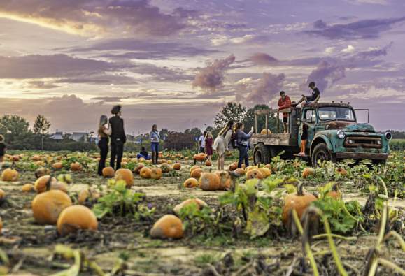VBC Shady Brook Farm Fall Fest 2023 28