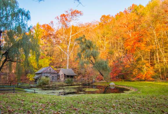 Fall Foliage with Cabin and Pond